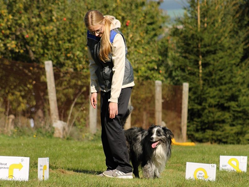 3. Rally Obedience - dvojzkoušky 7.10.