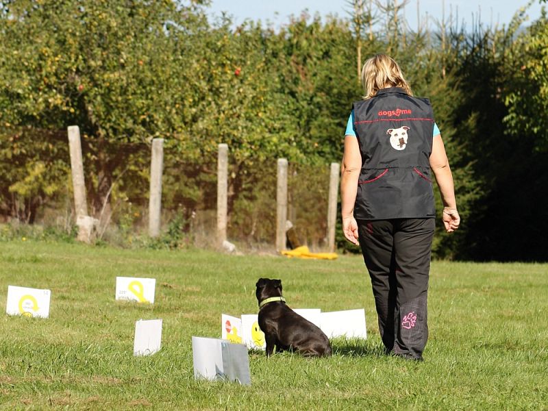 3. Rally Obedience - dvojzkoušky 7.10.