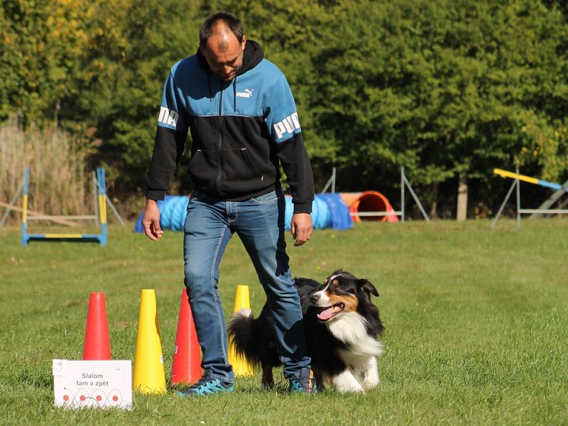 3. Rally Obedience - dvojzkoušky 7.10.