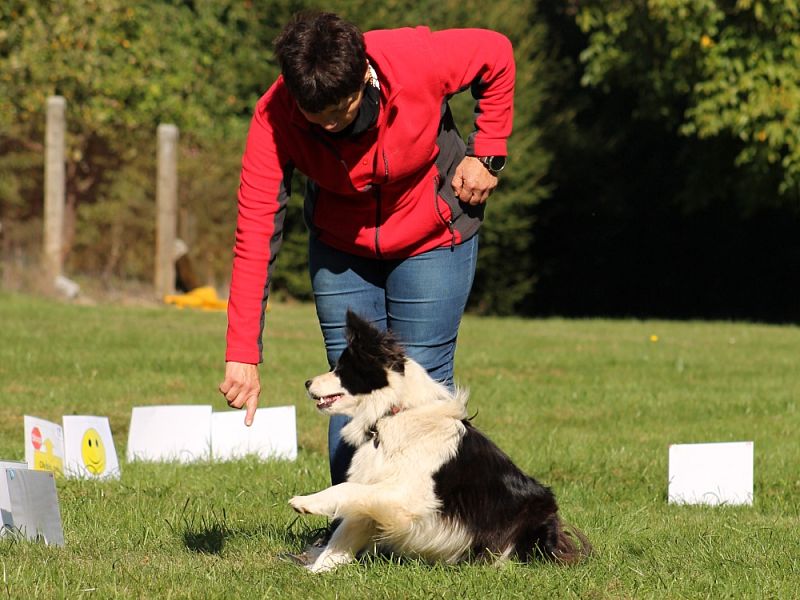 3. Rally Obedience - dvojzkoušky 7.10.