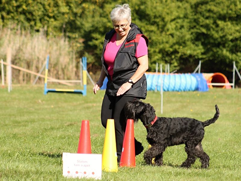 3. Rally Obedience - dvojzkoušky 7.10.