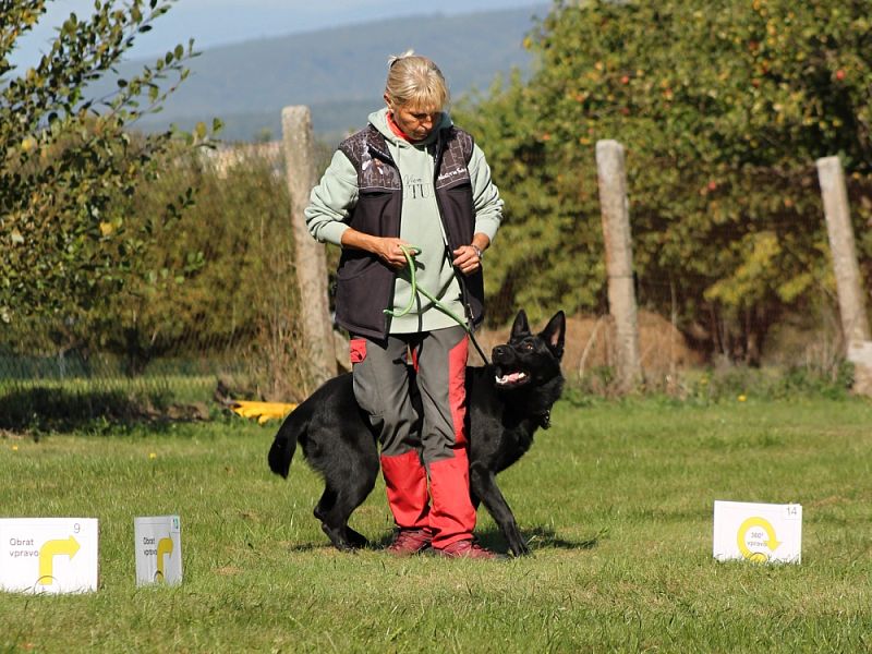 3. Rally Obedience - dvojzkoušky 7.10.