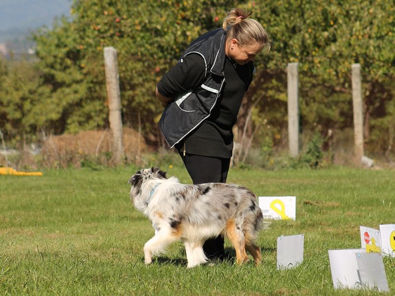 3. Rally Obedience - dvojzkoušky 7.10.