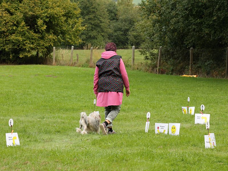 3. Rally Obedience - dvojzkoušky 7.10.