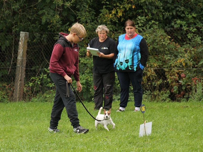 3. Rally Obedience - dvojzkoušky 7.10.