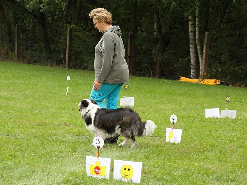 3. Rally Obedience - dvojzkoušky 7.10.