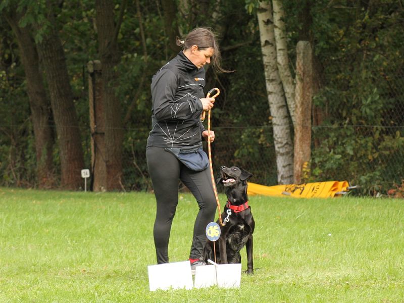 3. Rally Obedience - dvojzkoušky 7.10.