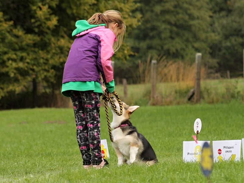 3. Rally Obedience - dvojzkoušky 7.10.