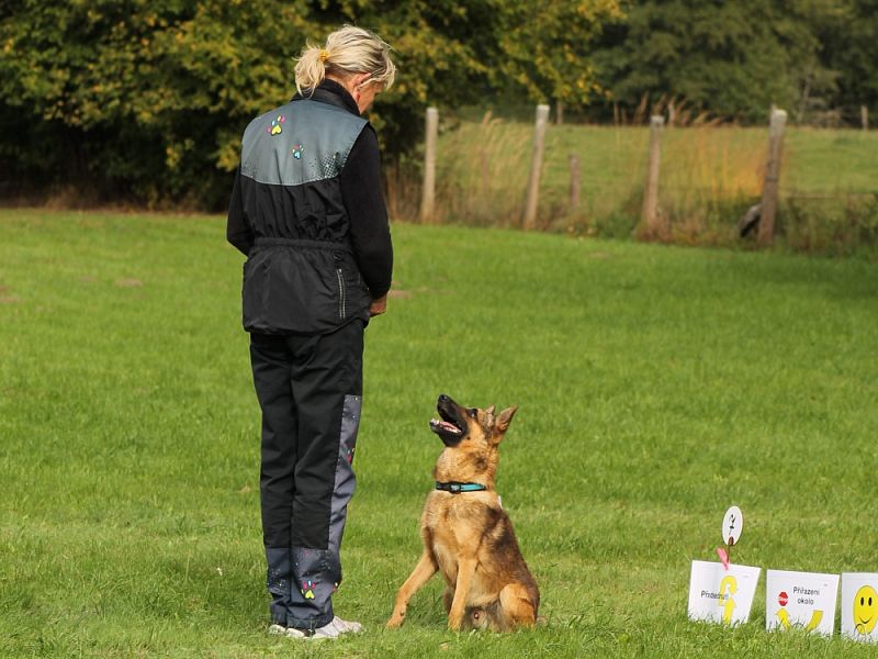 3. Rally Obedience - dvojzkoušky 7.10.