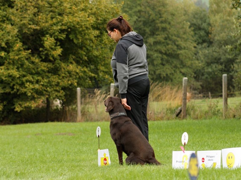 3. Rally Obedience - dvojzkoušky 7.10.