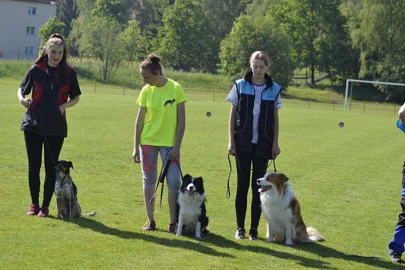 7. Junior Open PK + 6. MČR mládeže Obedience