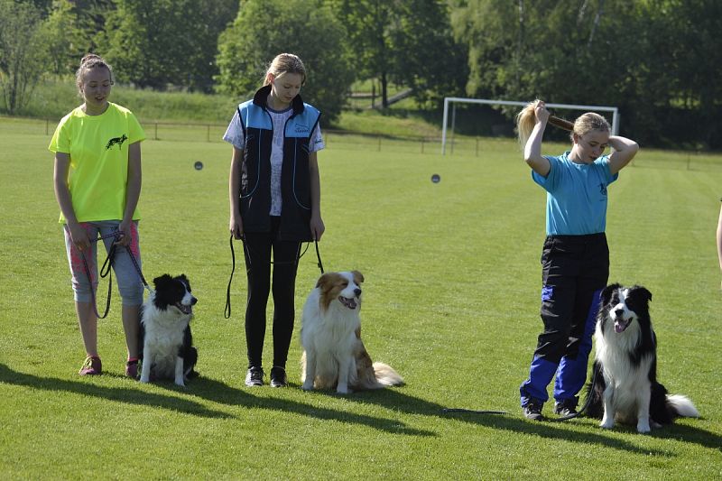 7. Junior Open PK + 6. MČR mládeže Obedience