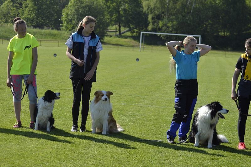 7. Junior Open PK + 6. MČR mládeže Obedience