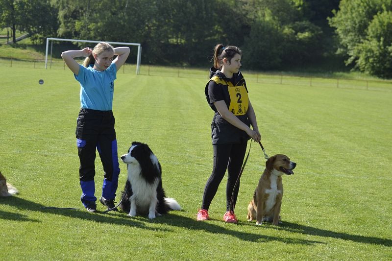 7. Junior Open PK + 6. MČR mládeže Obedience