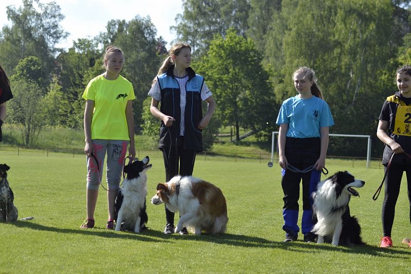 7. Junior Open PK + 6. MČR mládeže Obedience