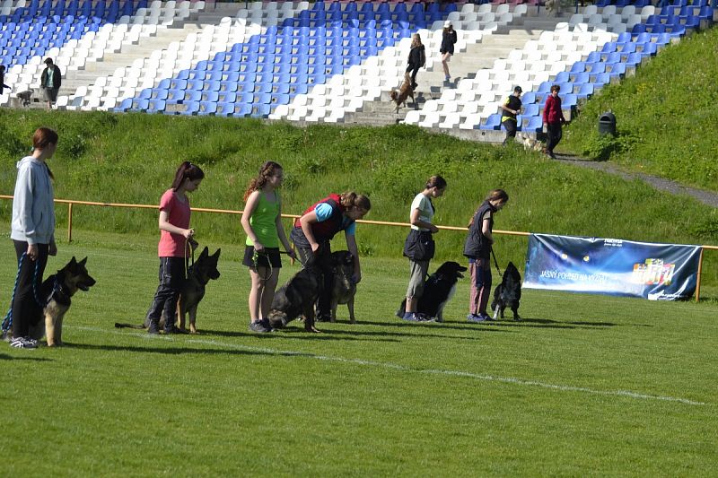 7. Junior Open PK + 6. MČR mládeže Obedience