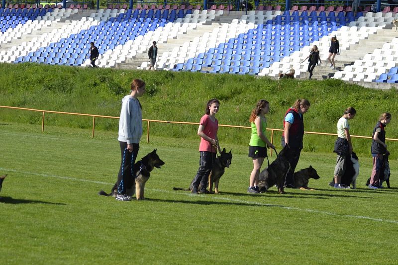 7. Junior Open PK + 6. MČR mládeže Obedience