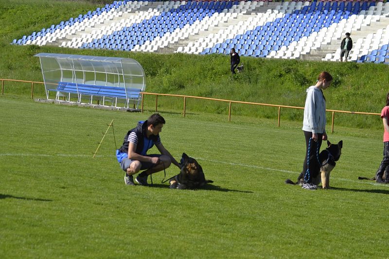 7. Junior Open PK + 6. MČR mládeže Obedience