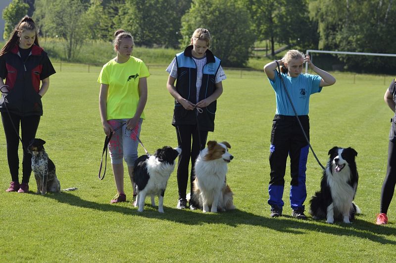 7. Junior Open PK + 6. MČR mládeže Obedience