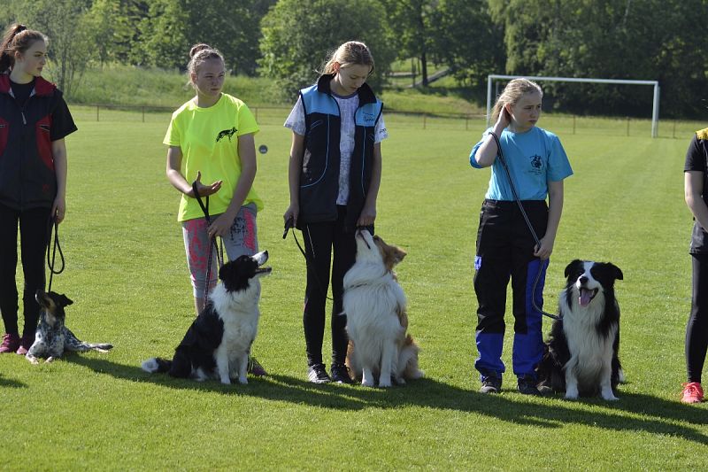 7. Junior Open PK + 6. MČR mládeže Obedience