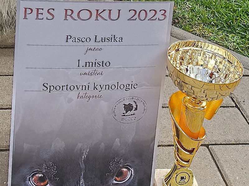 BCCCZ - Klubový šampion výkonu a Pes roku 2023