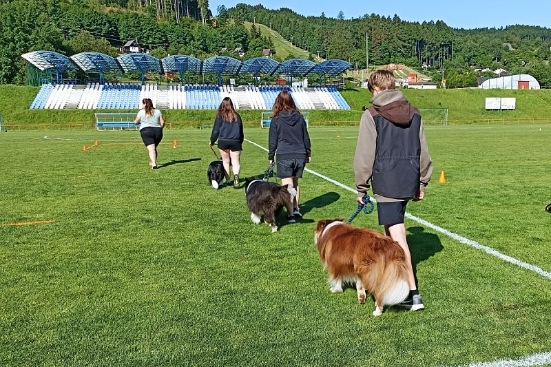 CACT MČR mládeže a juniorů Obedience