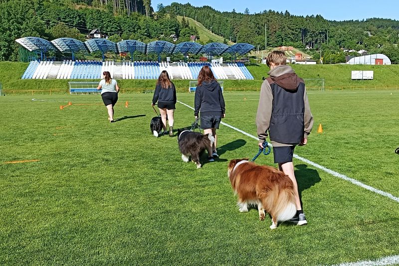 CACT MČR mládeže a juniorů Obedience