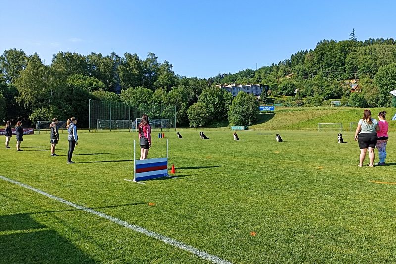 CACT MČR mládeže a juniorů Obedience