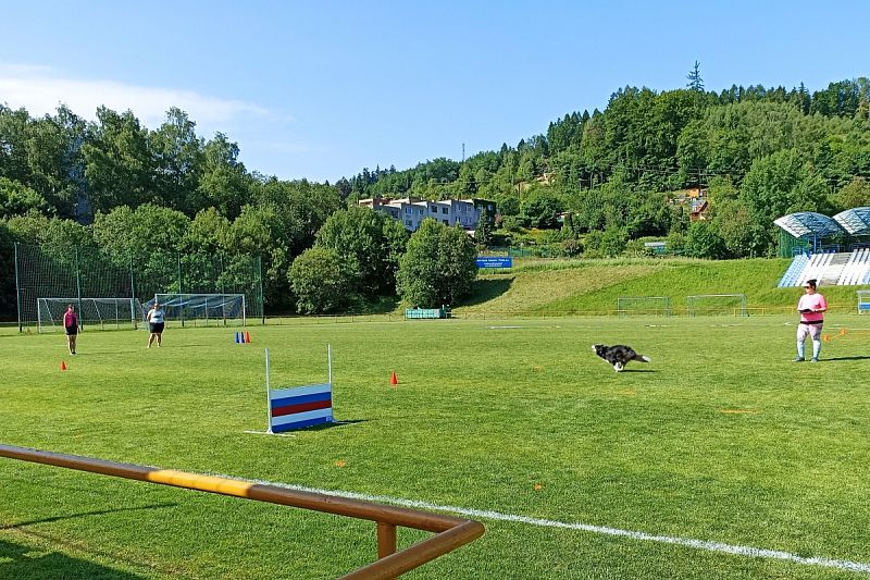 CACT MČR mládeže a juniorů Obedience