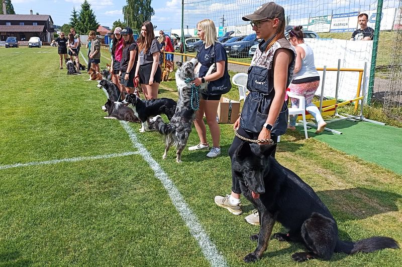 CACT MČR mládeže a juniorů Obedience