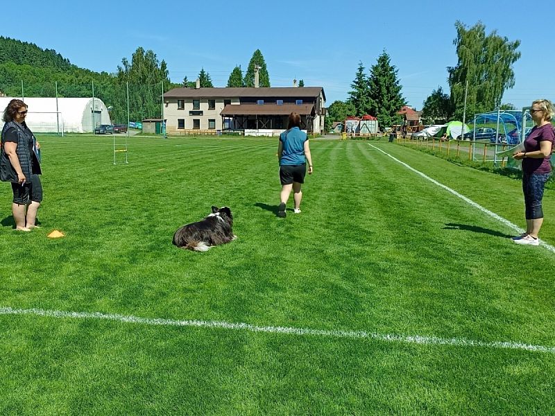 CACT MČR mládeže a juniorů v OB a MČR mládeže a juniorů v RO 14. 6. 2025