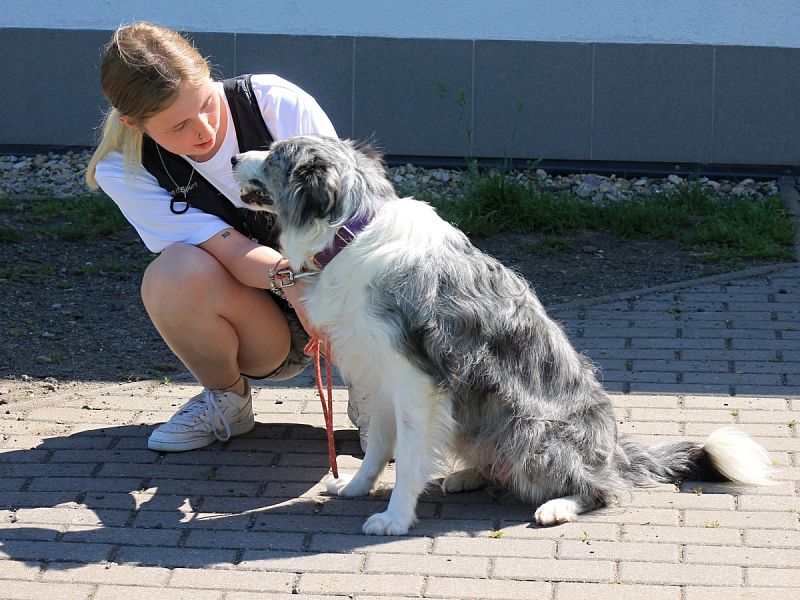 CACT MČR mládeže a juniorů v OB a MČR mládeže a juniorů v RO 14. 6. 2025