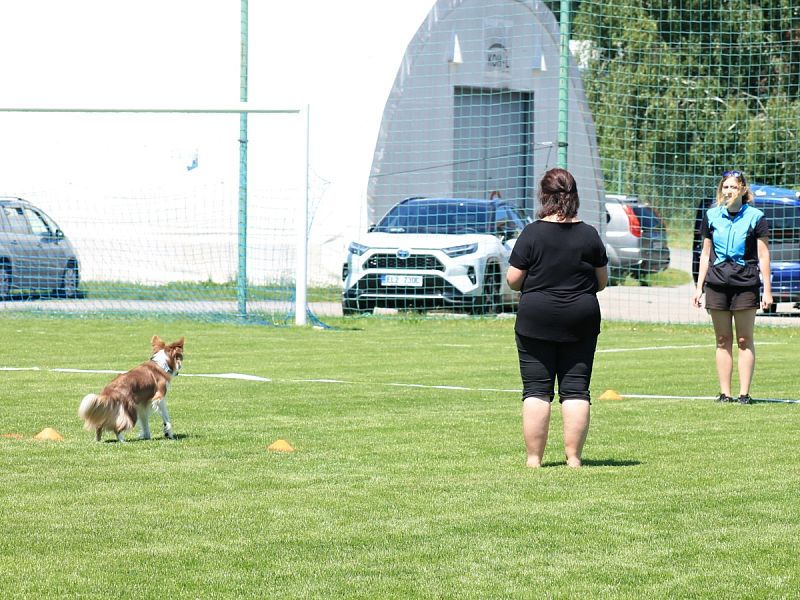 CACT MČR mládeže a juniorů v OB a MČR mládeže a juniorů v RO 14. 6. 2025
