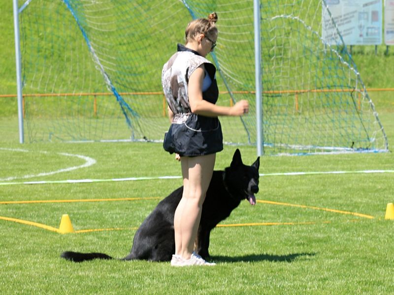 CACT MČR mládeže a juniorů v OB a MČR mládeže a juniorů v RO 14. 6. 2025
