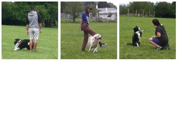 Dog Dancing – Postupové zkoušky 3.9.