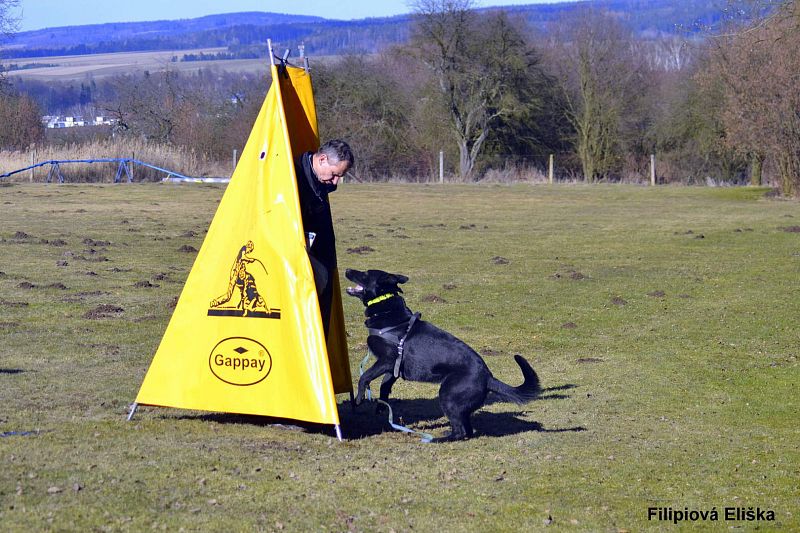 Dogdancing vystoupení na Benefičním plese "Za jeden provaz"