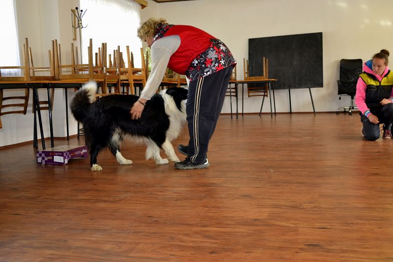 Halový trénink Dogdancing + Velikonoční závod DD