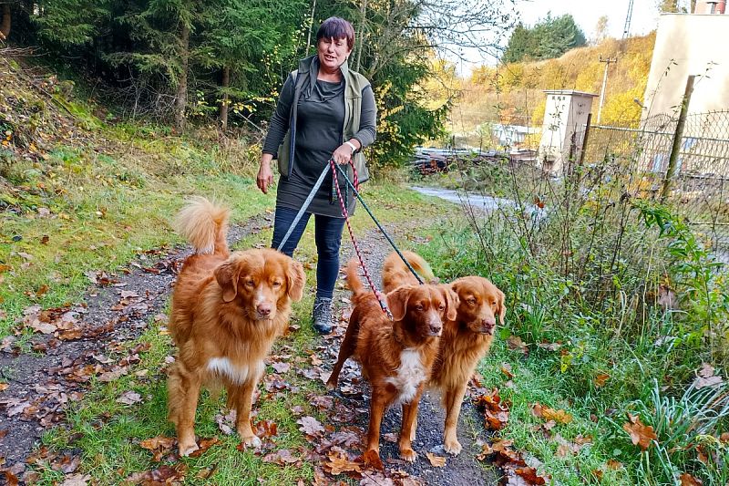 Hanka a její smečka – Bucky, Eila, Dusty