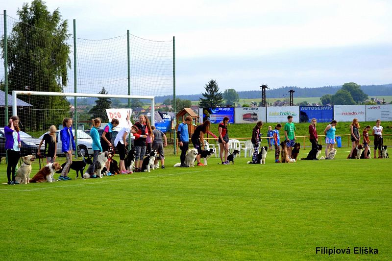 Junior Open PK (stadion FK)