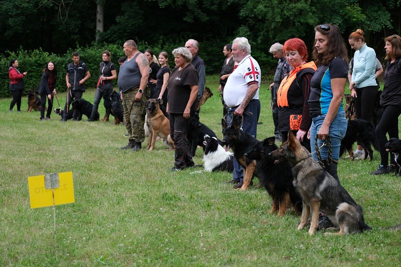 Letní speciál v poslušnosti a Klubový obranářský závod – 12. 7. 2025