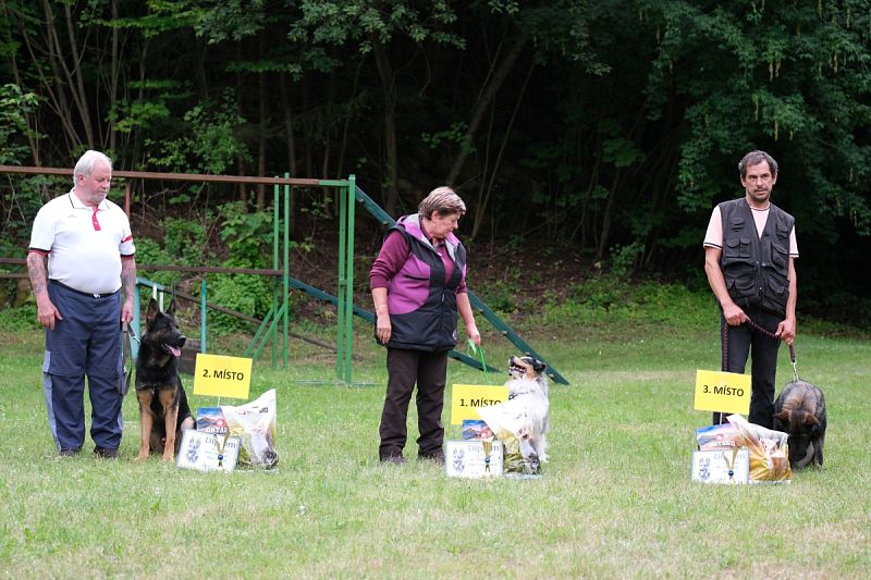 Letní speciál v poslušnosti a Klubový obranářský závod – 12. 7. 2025