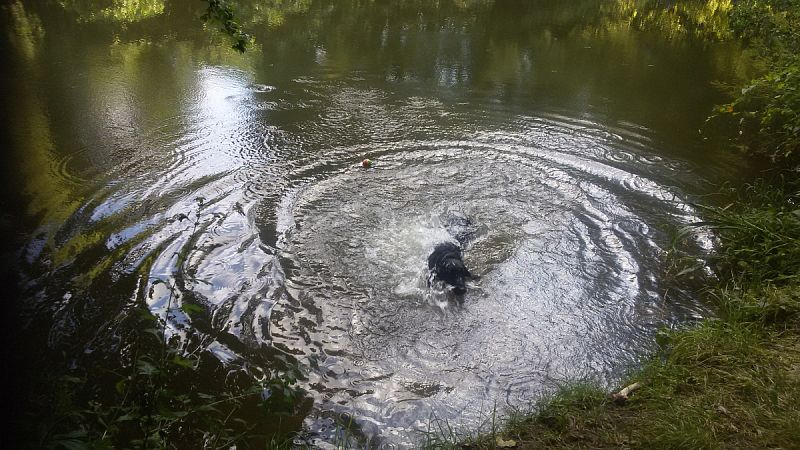 Letní tábor mládeže 21. - 29. 7.  Nemošice