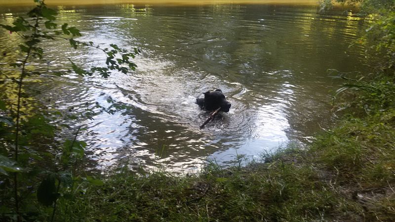 Letní tábor mládeže 21. - 29. 7.  Nemošice