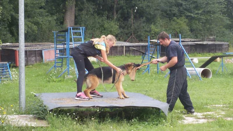 Letní tábor mládeže 21. - 29. 7.  Nemošice