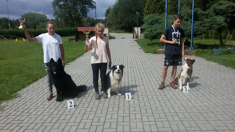 Letní tábor mládeže 21. - 29. 7.  Nemošice