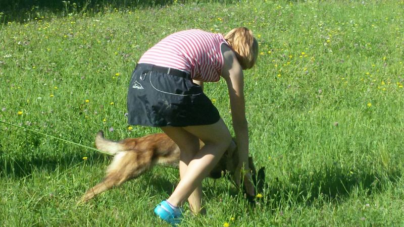 Letní tábor mládeže 21. - 29. 7.  Nemošice