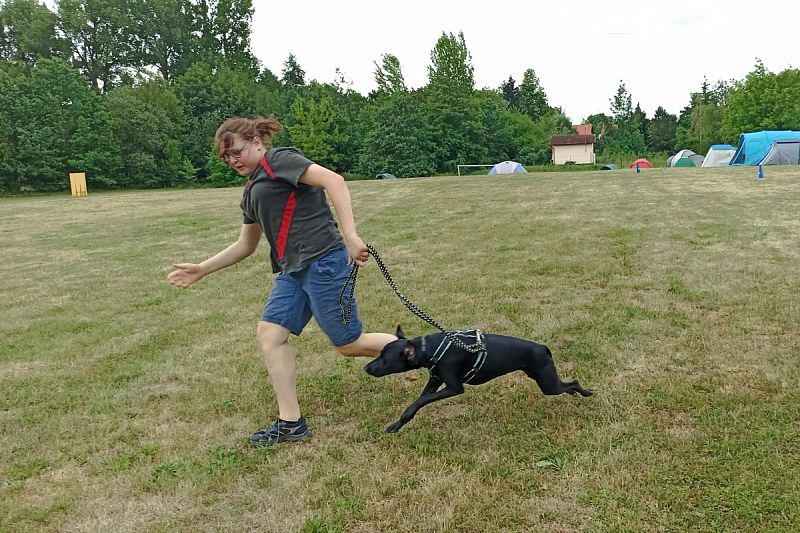 Letní tábor pro děti a psy 2026 – Nemošice 25. 7. – 1. 8. 2026