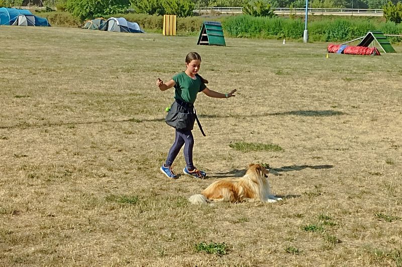 Letní tábor pro děti a psy 2026 – Nemošice 25. 7. – 1. 8. 2026