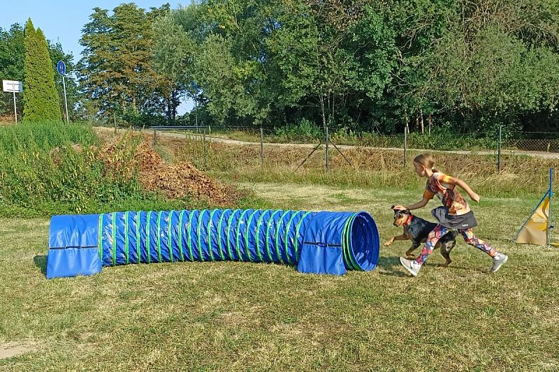 Letní tábor pro děti a psy 2026 – Nemošice 25. 7. – 1. 8. 2026