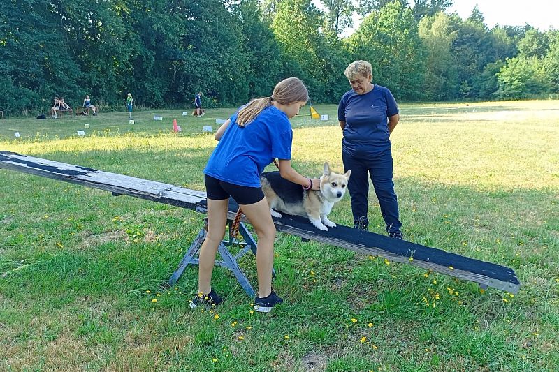 Letní tábor pro děti a psy 2026 – Nemošice 25. 7. – 1. 8. 2026